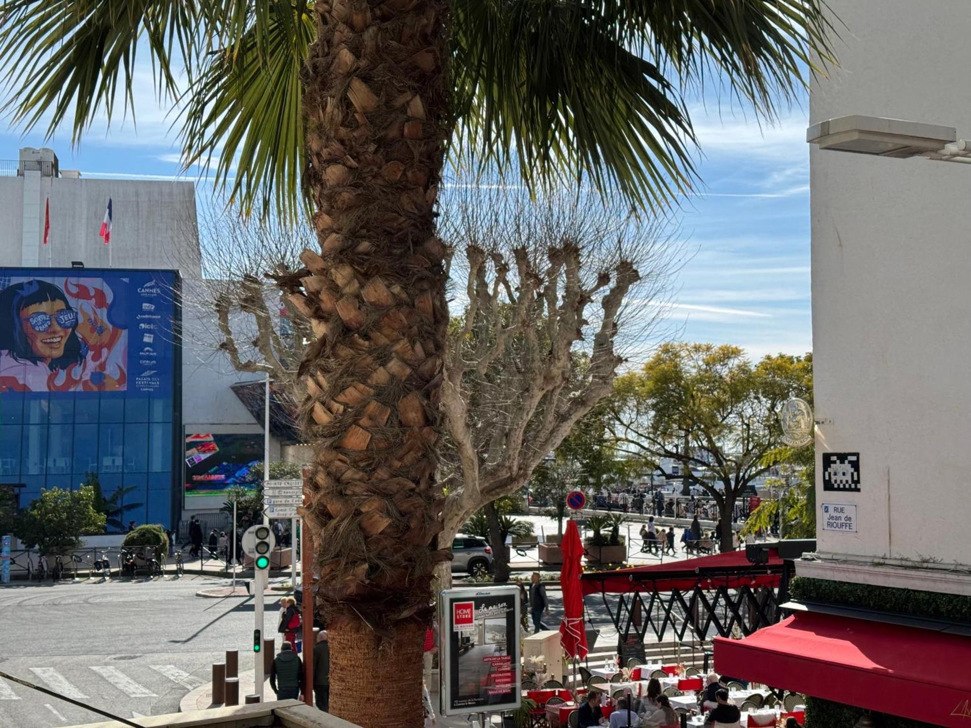 Appartamento Cocon Boheme Croisette-palais-plages 200m Cannes